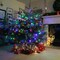 66ft 200 LED Christmas String Lights – Connectable Multi-Colored Fairy Lights with Green Wire, 8 Modes, Waterproof for Indoor & Outdoor Xmas, Party, Wedding, and Patio Decor (Multicolor)